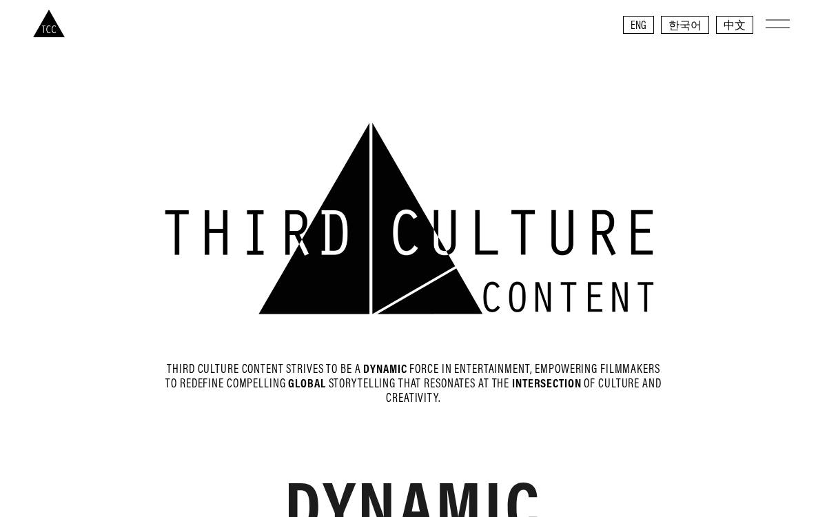 Third Culture Content website preview