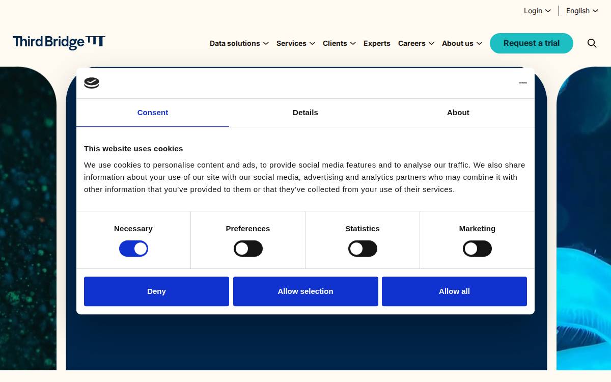 Thirdbridge website preview