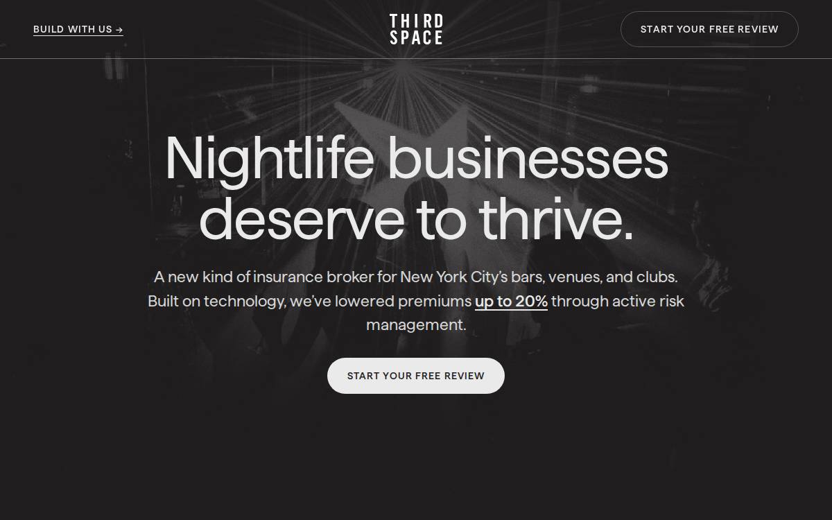 Thirdspacerisk website preview