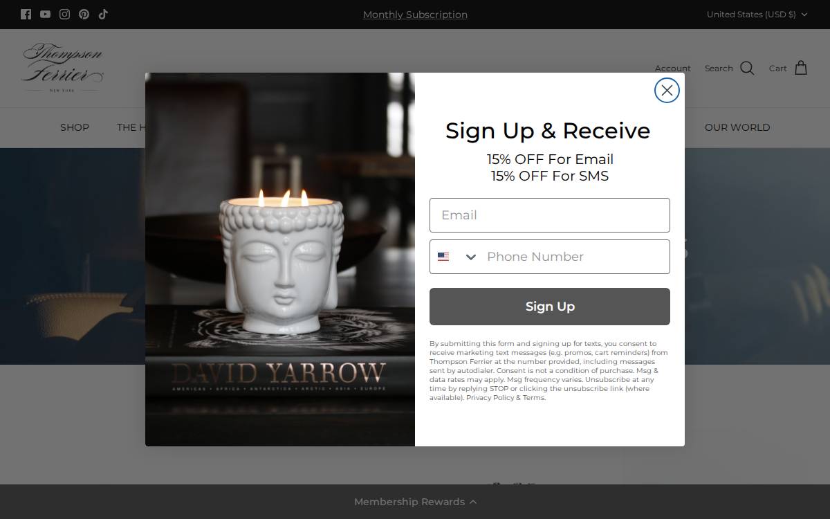 Thompson Ferrier website preview