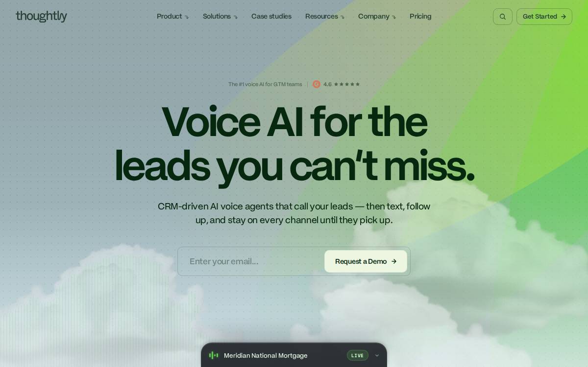 Thoughtly website preview