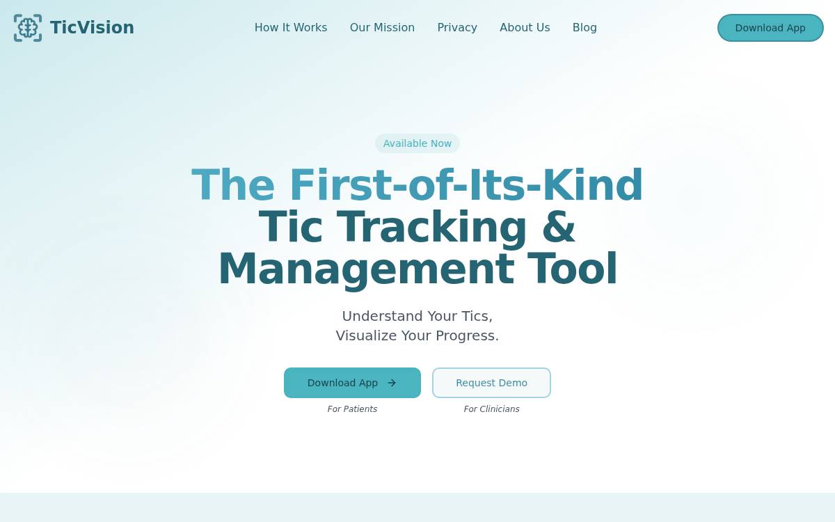 TicVision website preview