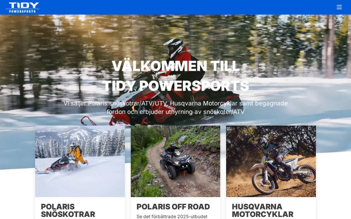 Tidy website preview