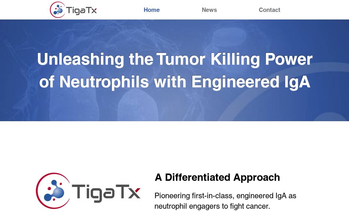 Tigatx website preview