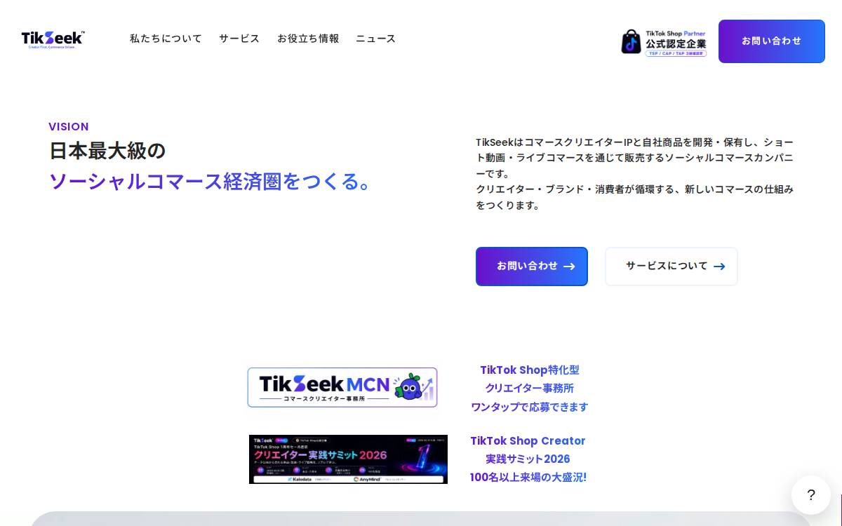 TikSeek website preview
