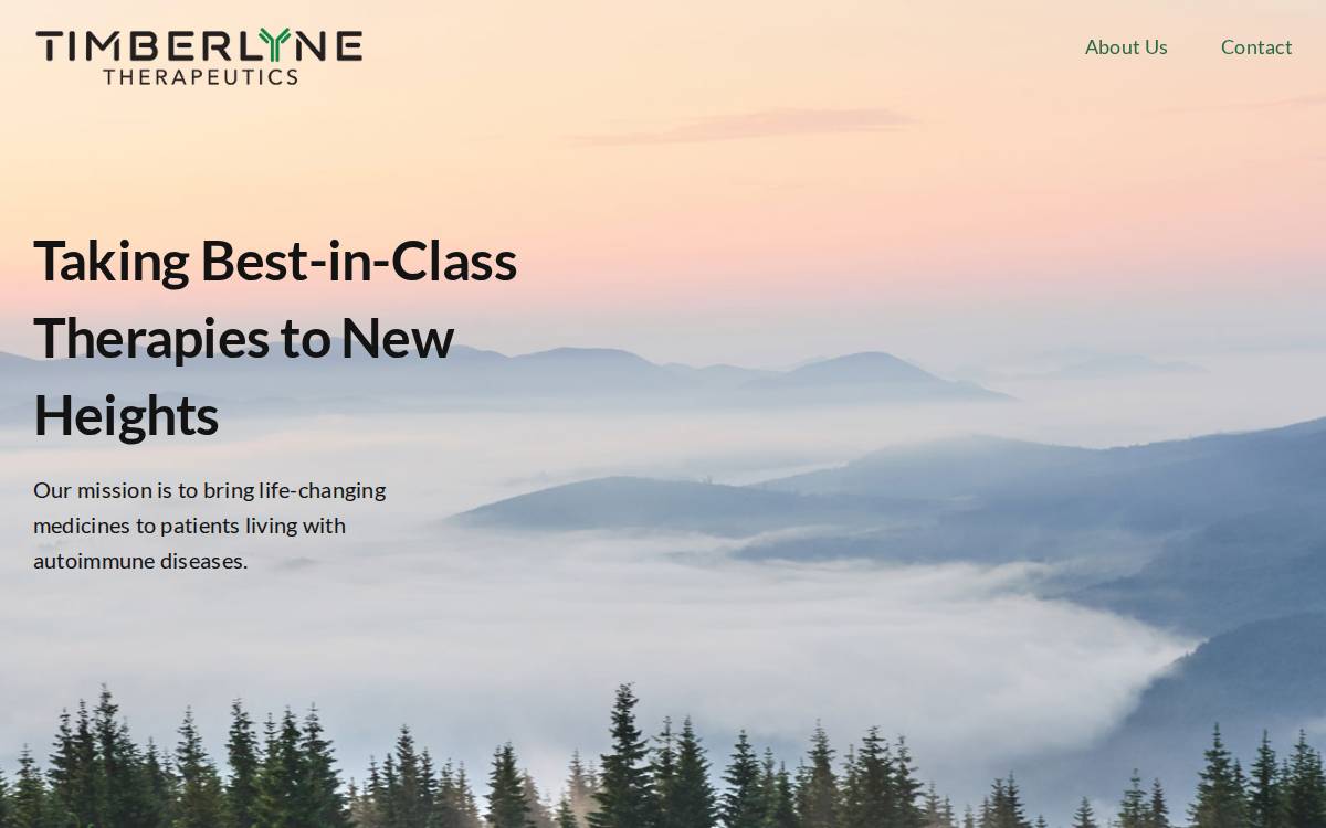 Timberlyne website preview