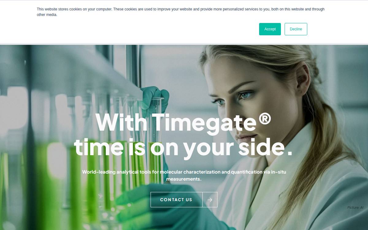 Timegate website preview