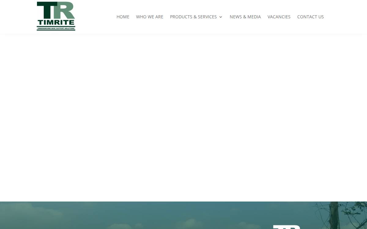 Timrite website preview