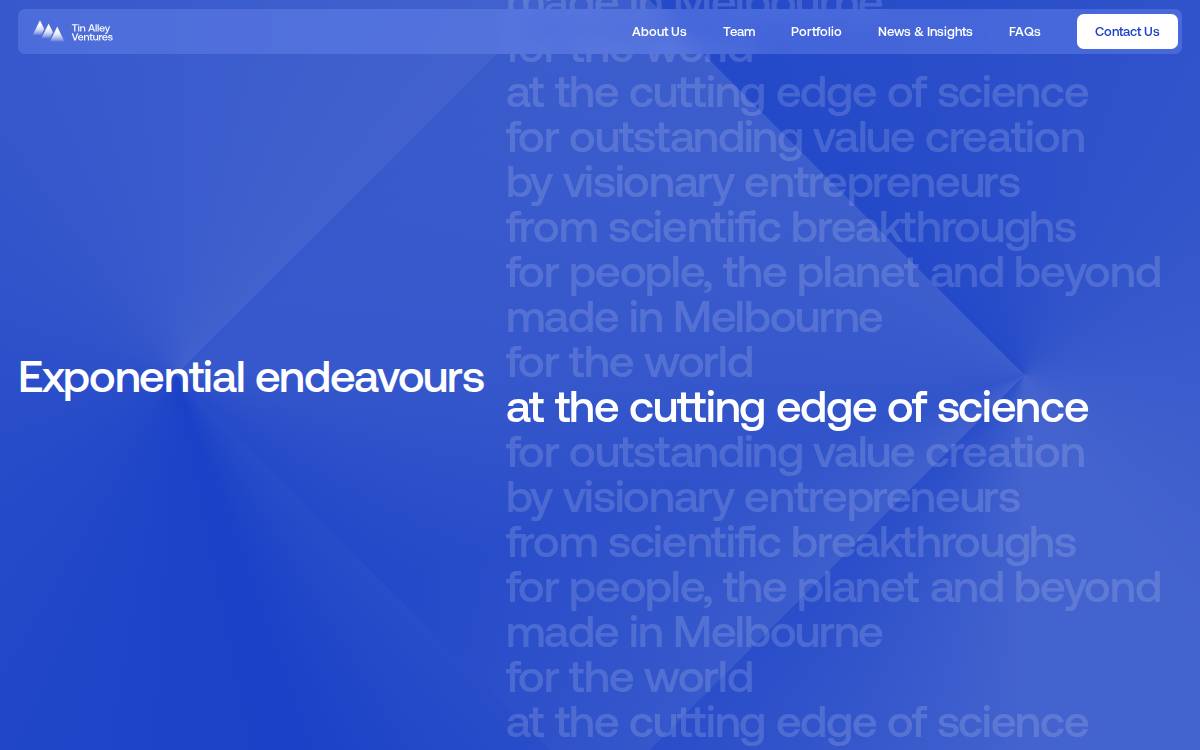 Tin Alley Ventures website preview