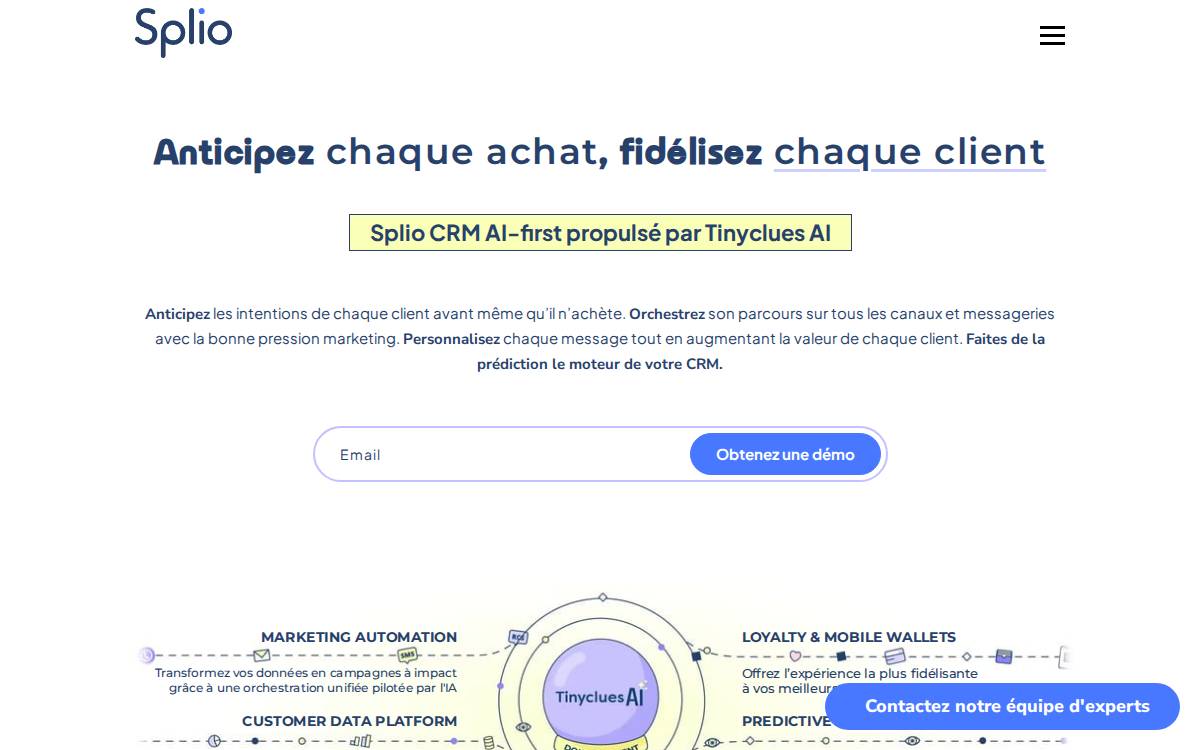 Tinyclues website preview