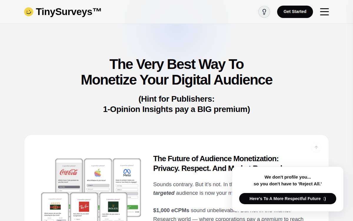 Tinysurveys website preview