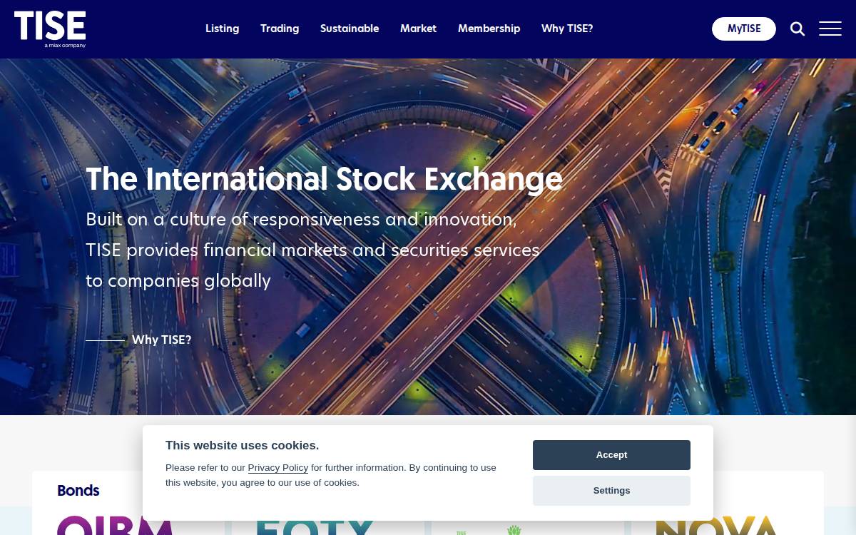 Tisegroup website preview