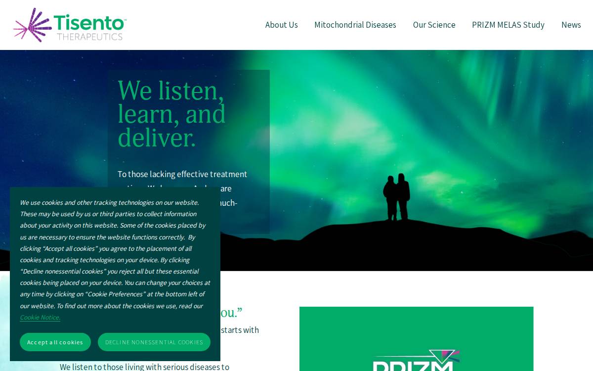 Tisentotx website preview