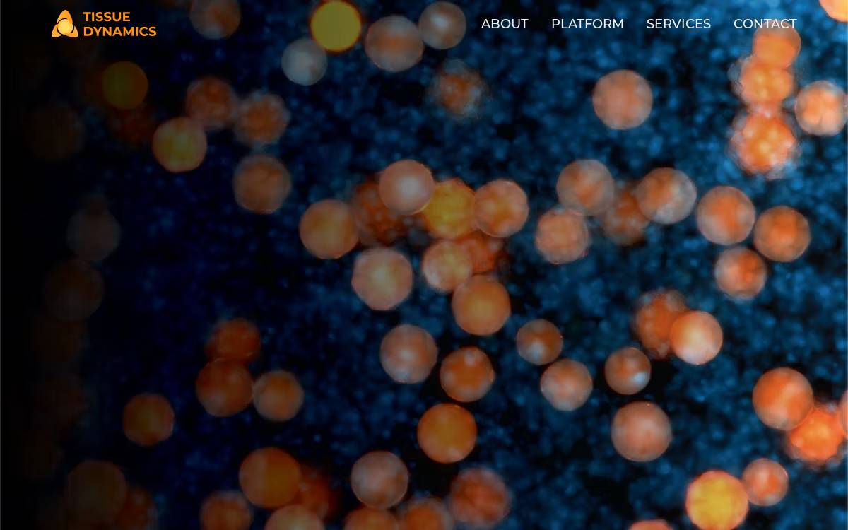 Tissue Dynamics website preview