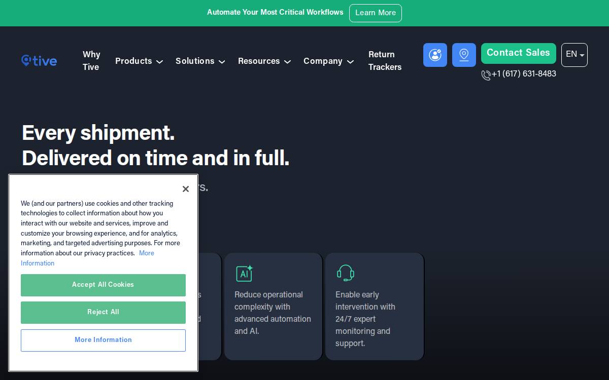 Tive website preview