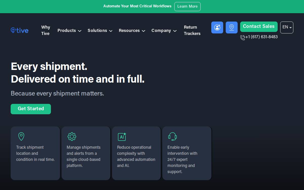 Tive website preview
