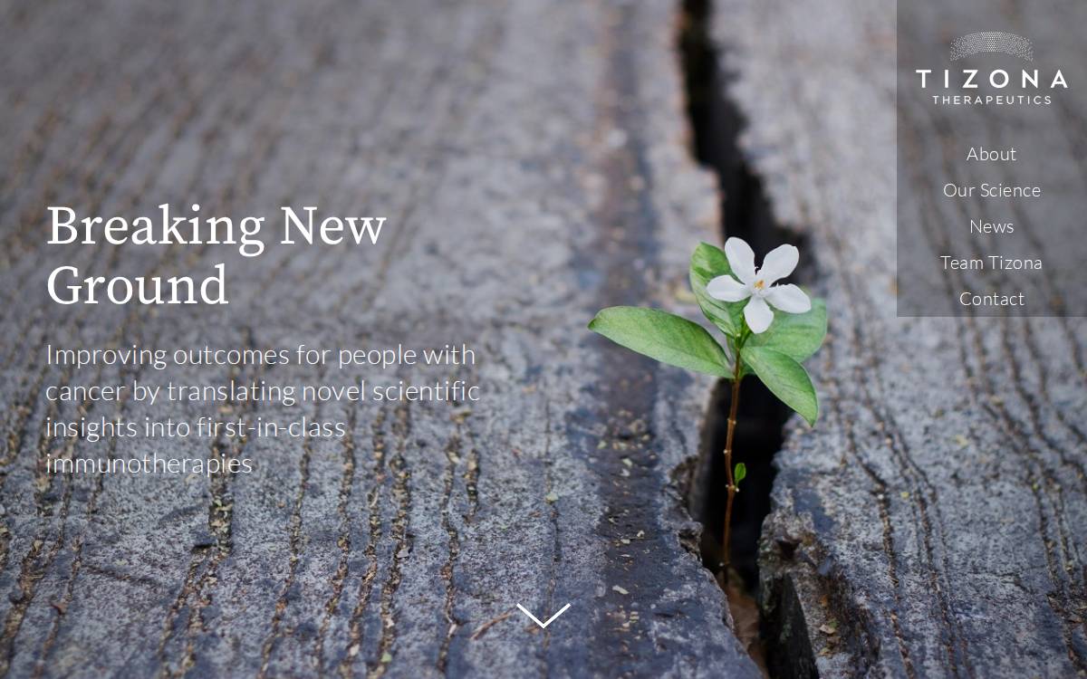 Tizona Therapeutics, Inc. website preview