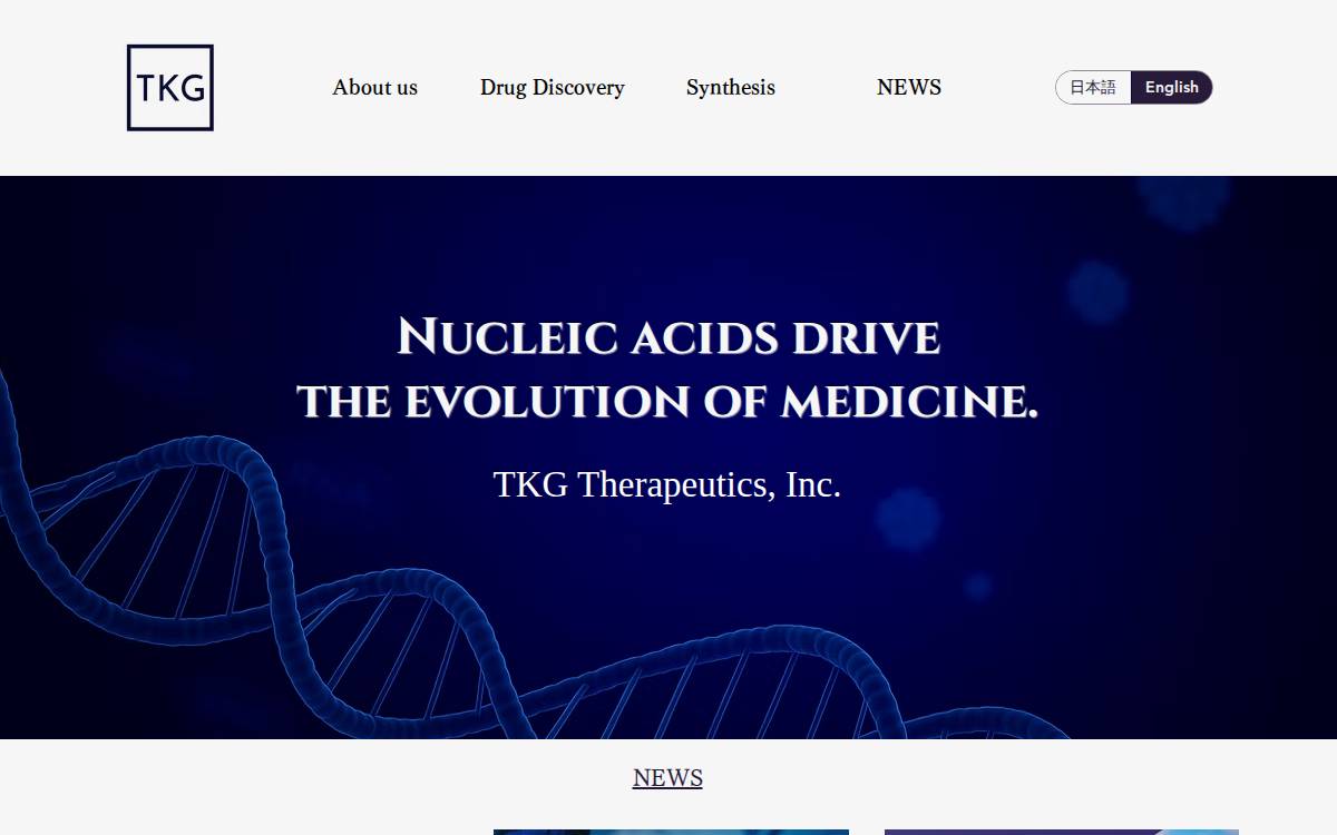 Tkg Na website preview