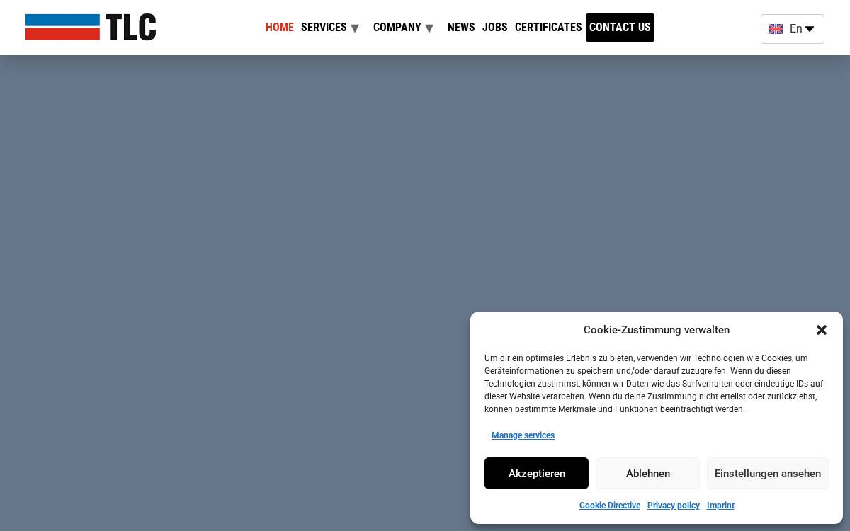 TL Concept website preview
