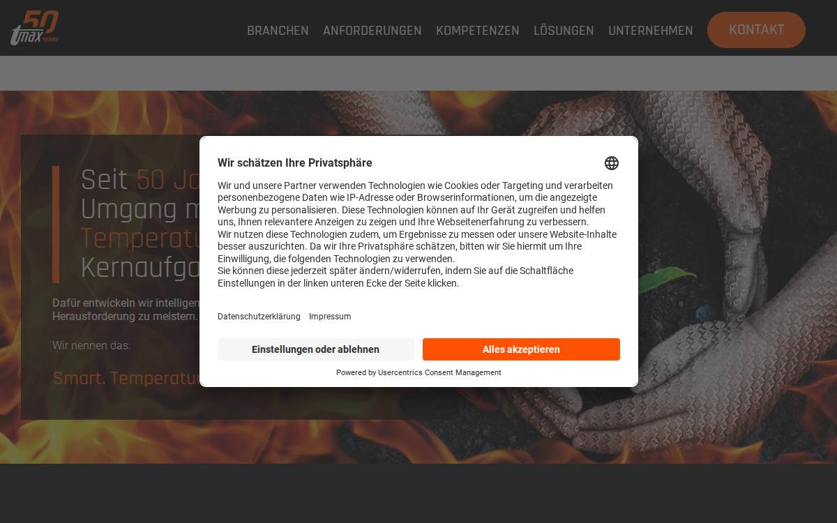 Tmax Group website preview