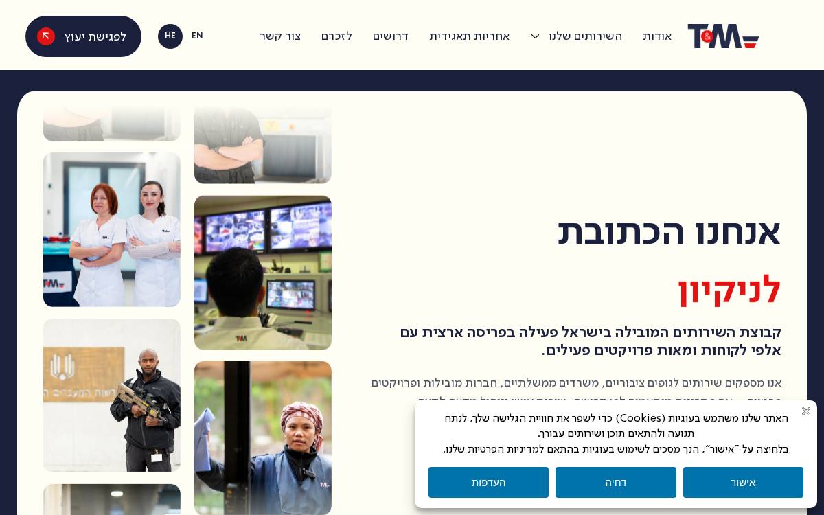 Tmprotection website preview