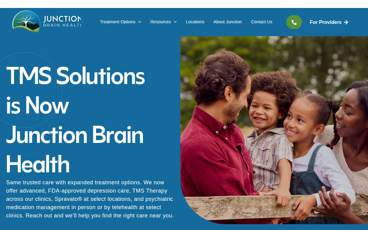 TMSsolutions-logo-plain website preview