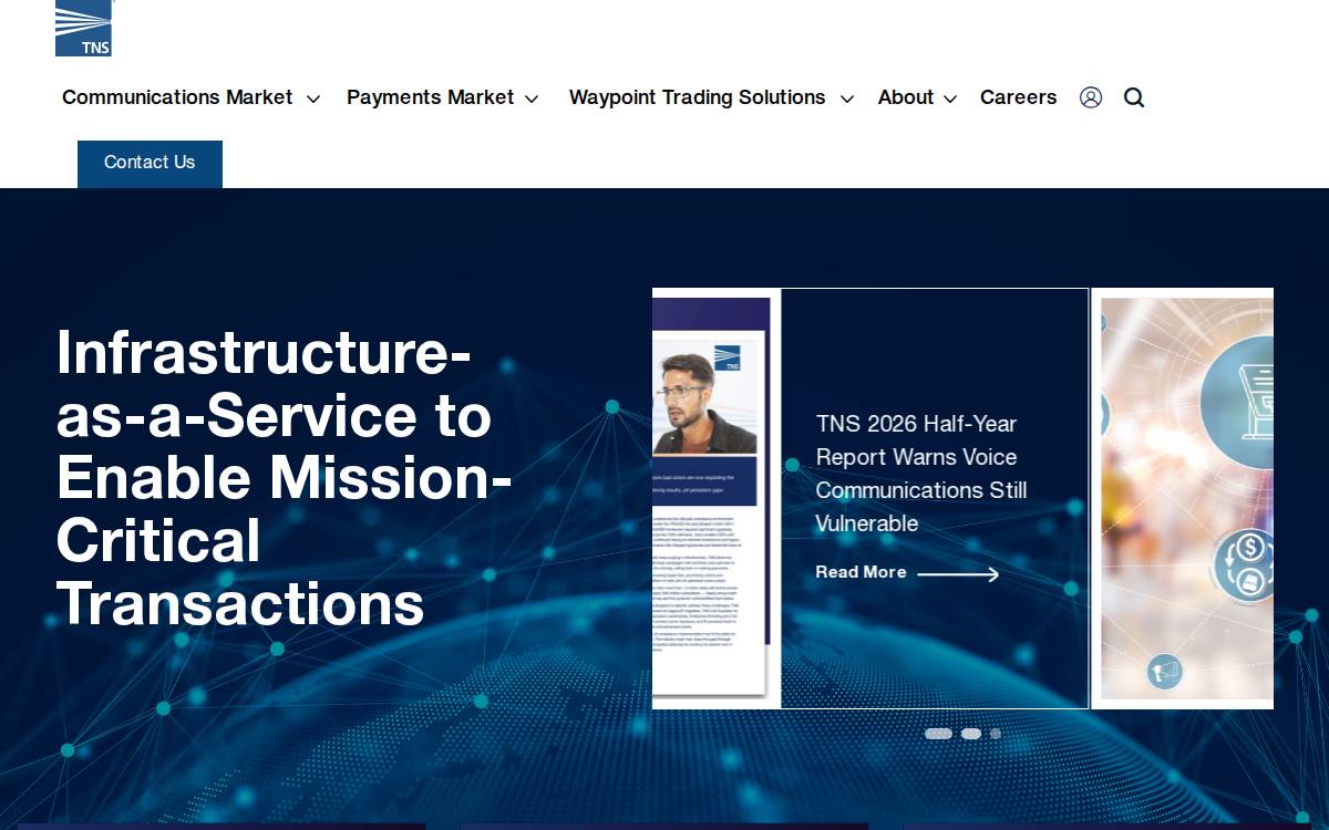 Tnsi website preview