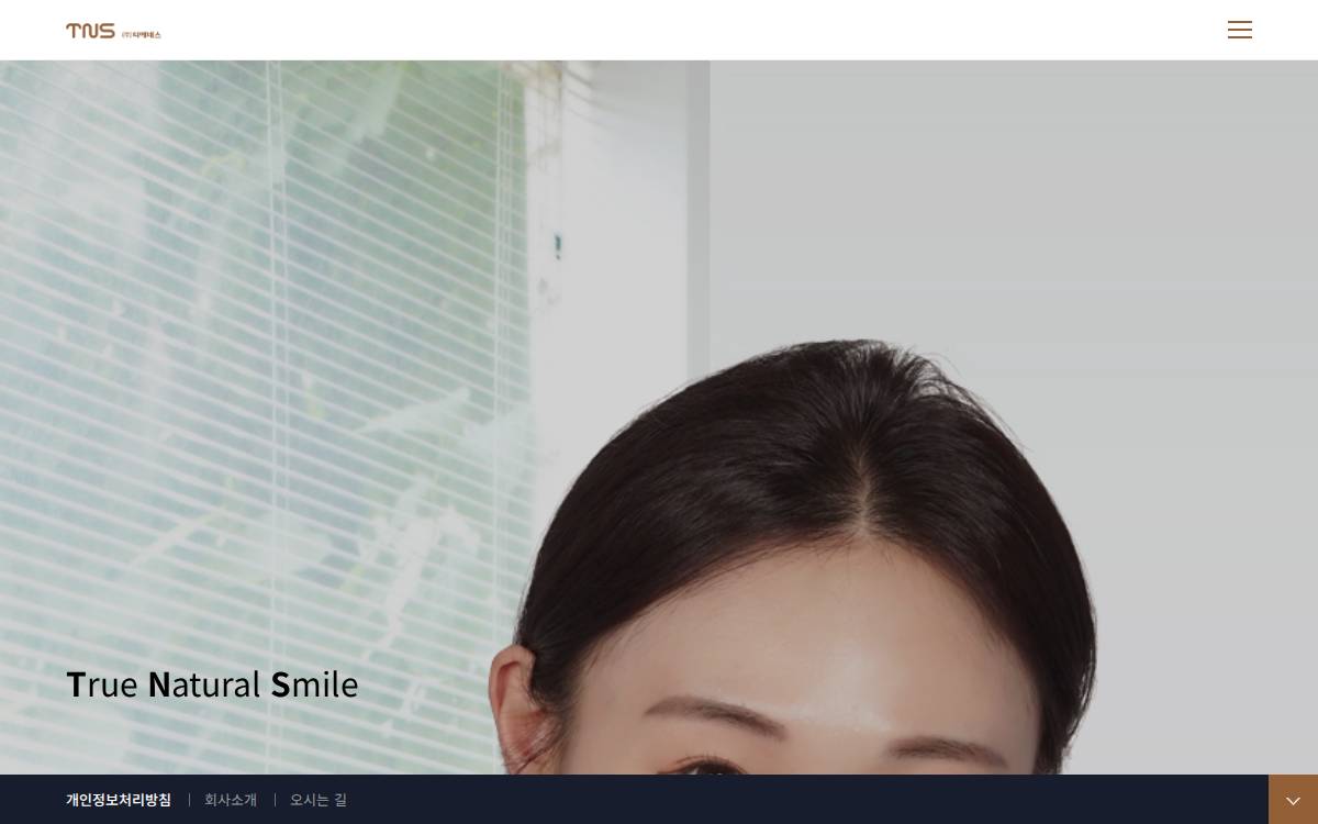Tnsmile website preview