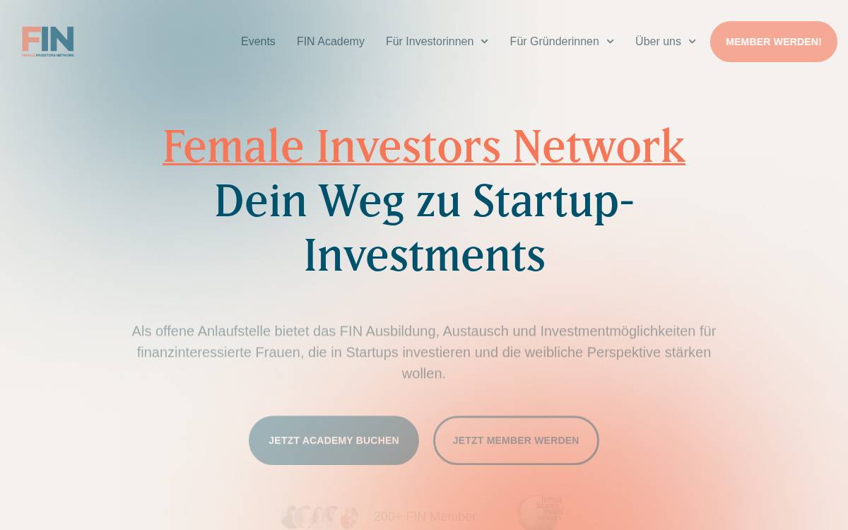 to the FIN website preview