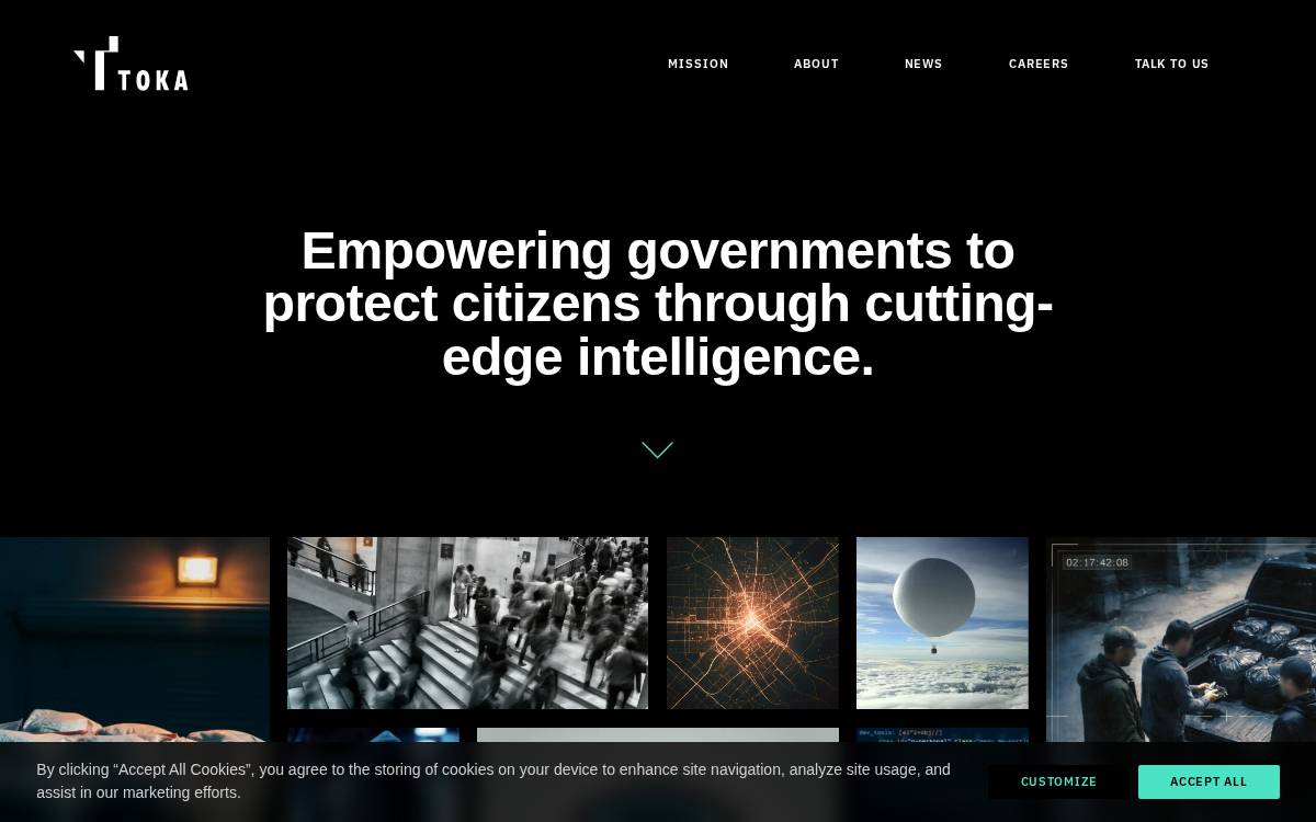 Toka website preview