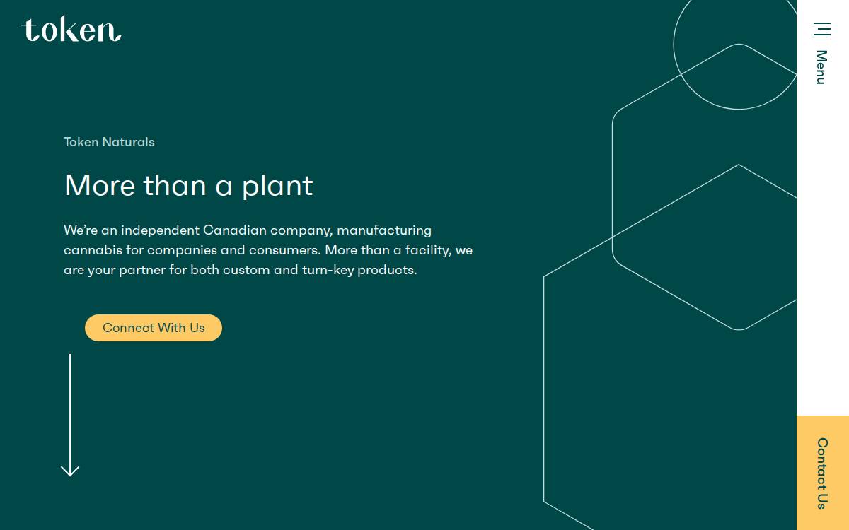 Token Naturals Ltd. website preview