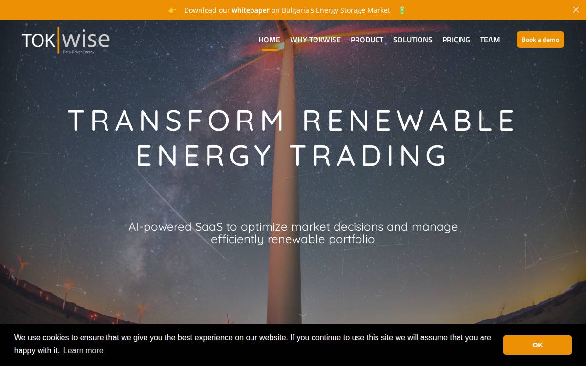 TokWise website preview