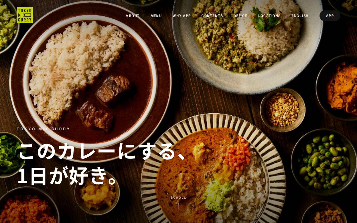 Tokyomixcurry website preview