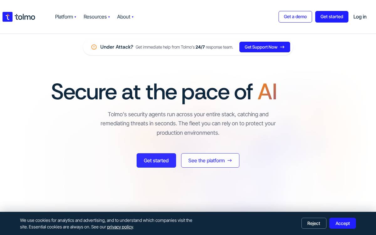 Tolmo website preview