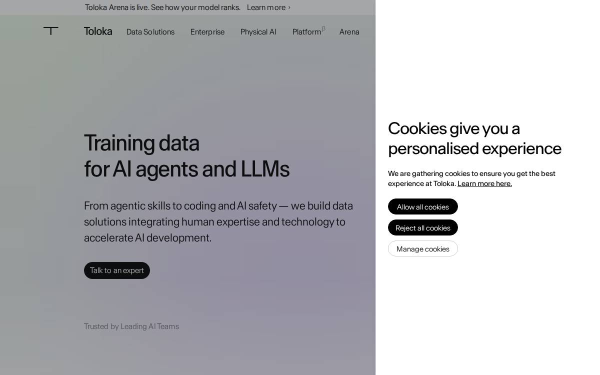 Toloka Group website preview