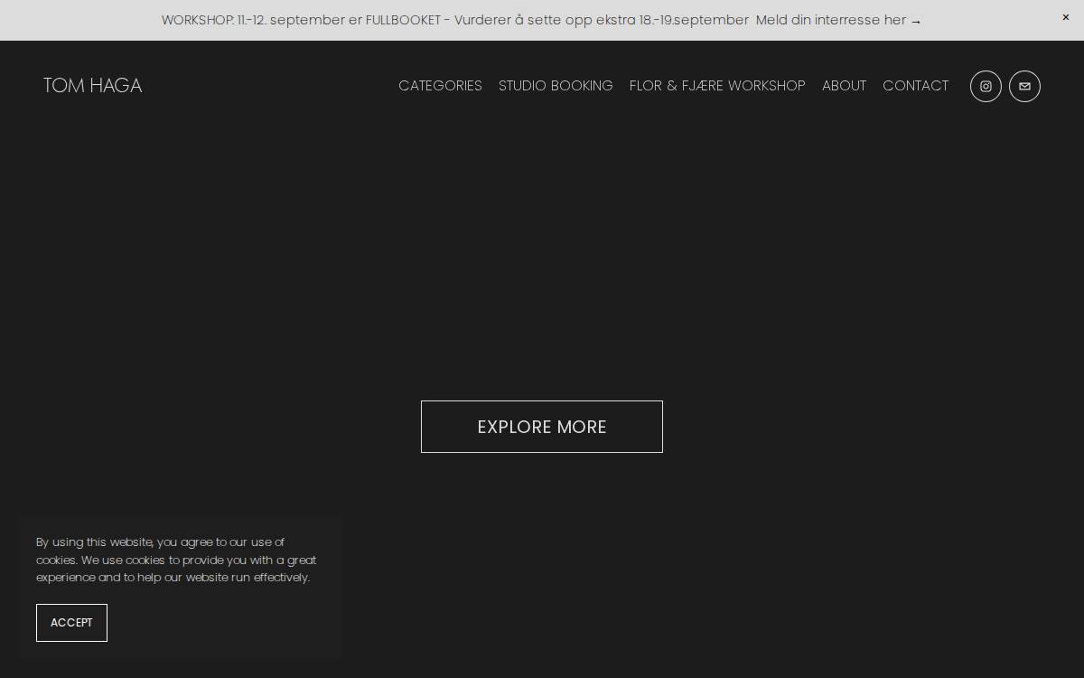 Tom Haga website preview