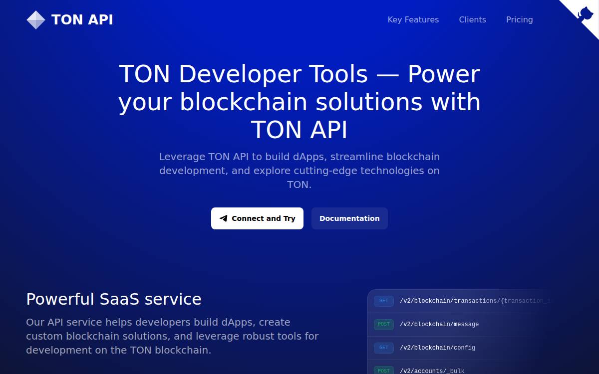 TON API website preview