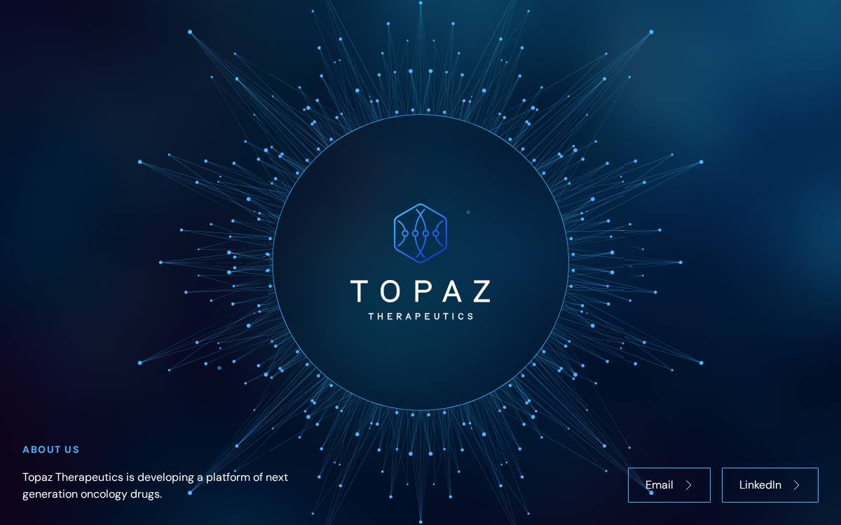 Topaz Tx website preview