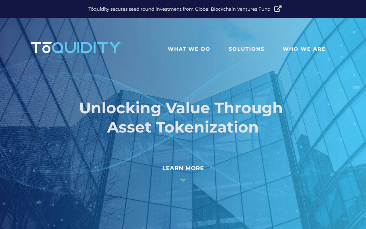 Toquidity website preview