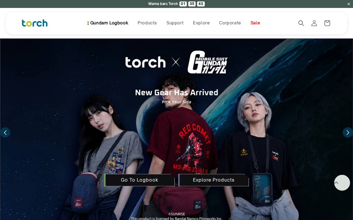 Torch website preview