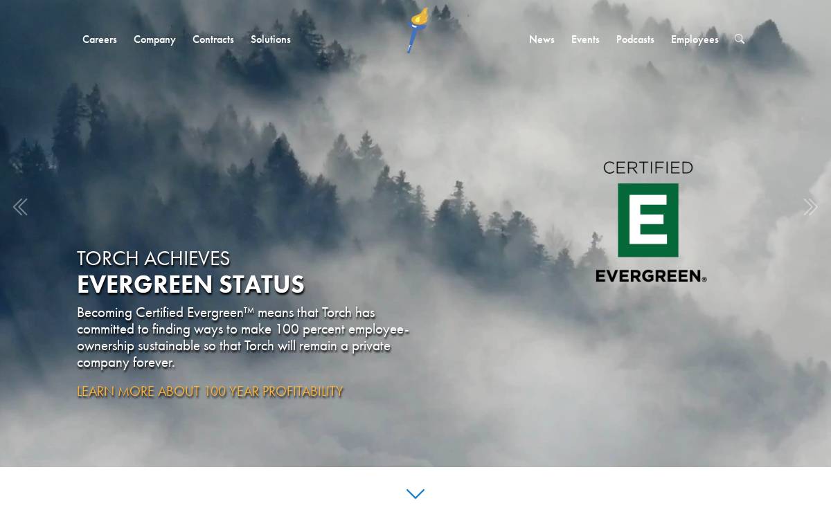 Torch Technologies, Inc. website preview