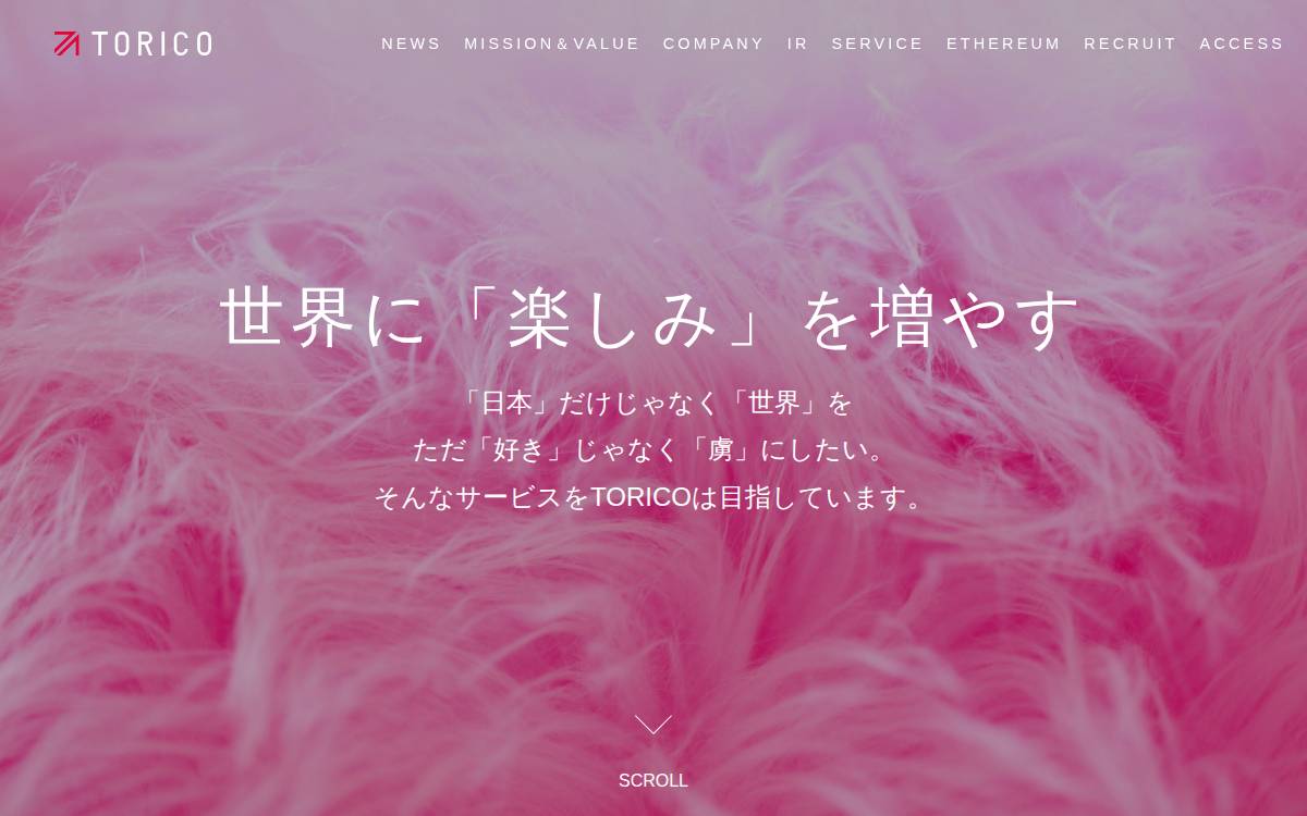 株式会社TORICO website preview
