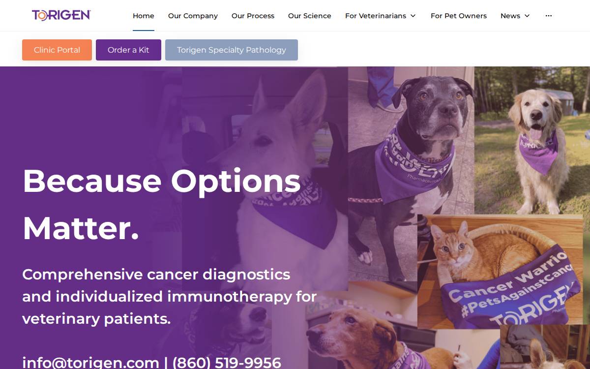 Torigen Pharmaceuticals website preview