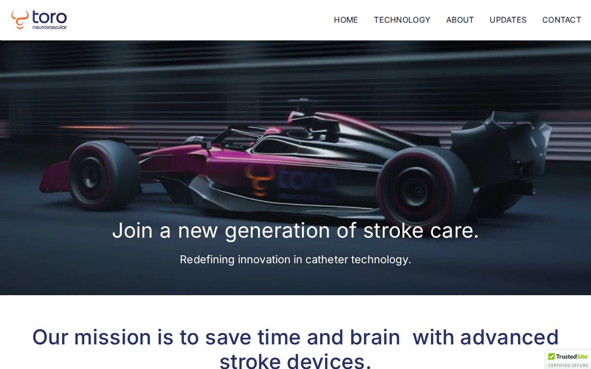 Toro Neurovascular website preview