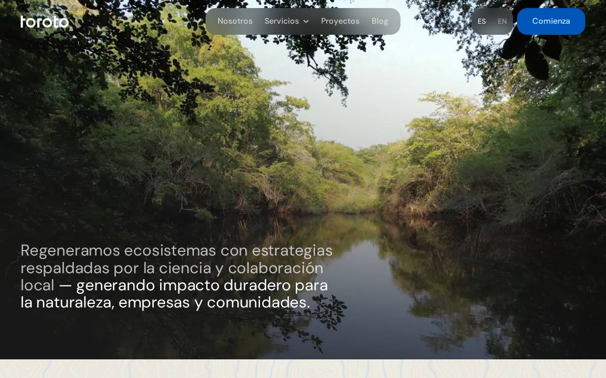 Toroto website preview