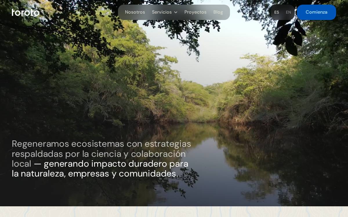 Toroto website preview