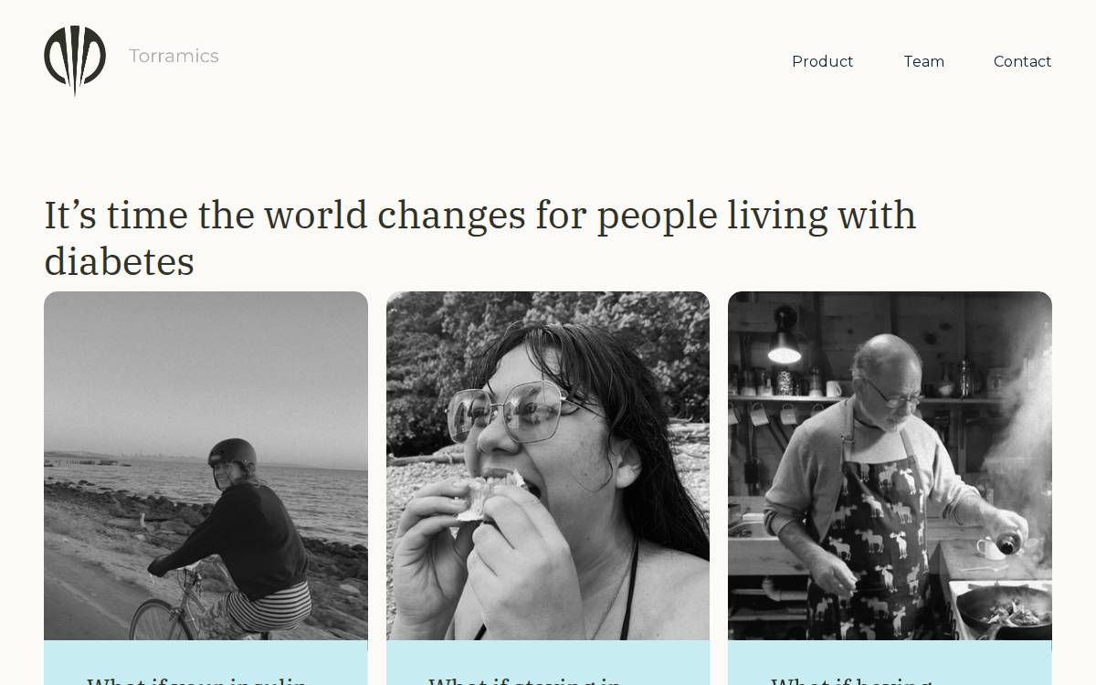 Torramics website preview