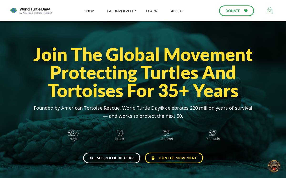Tortoise website preview
