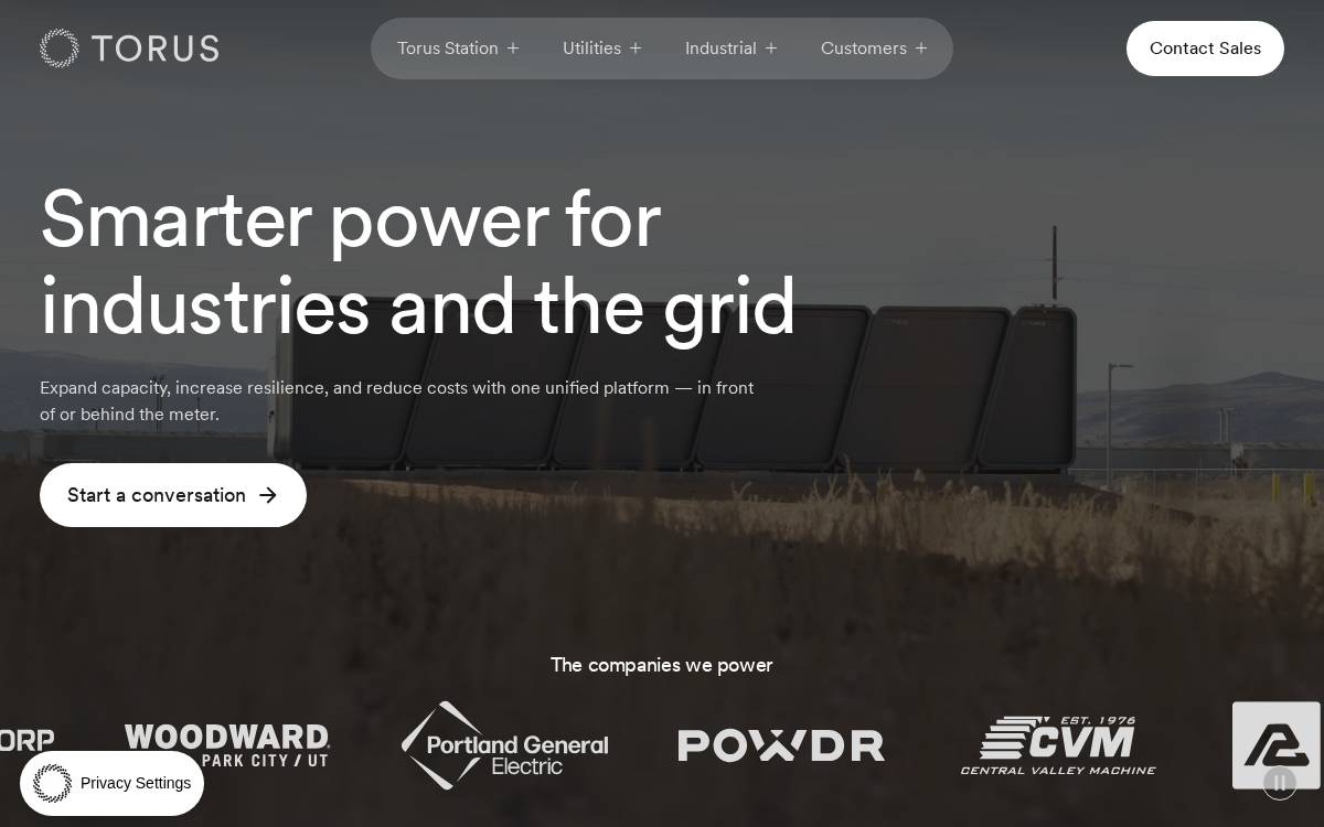 Torus website preview
