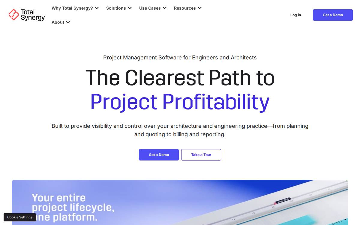 Total Synergy website preview